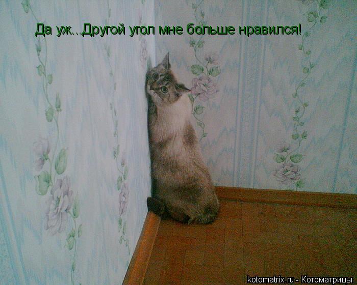 Да уж...Другой угол мне больше нравился!... Котоматрица: Да уж...Другой угол мне больше нравился!