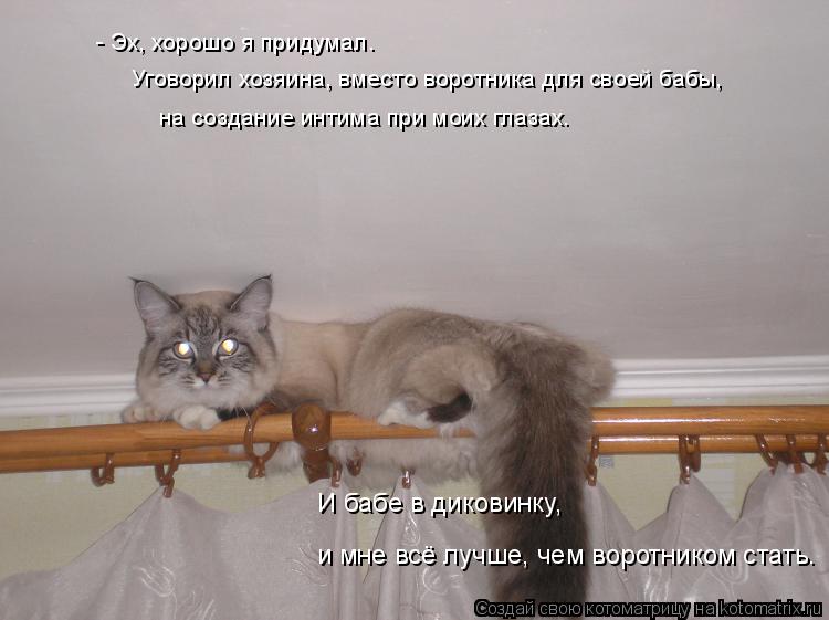 Уговорил хозяина, вместо воротника для своей бабы, - Эх, хорошо я придумал. на создание интима при ... Котоматрица: Уговорил хозяина, вместо воротника для своей бабы, - Эх, хорошо я придумал. на создание интима при моих глазах. И бабе в диковинку, и мне всё