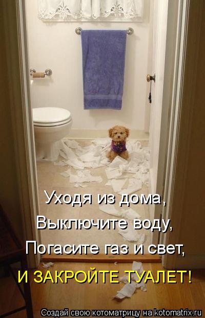 Котоматрица: Уходя из дома, Выключите воду, Погасите газ и свет, И ЗАКРОЙТЕ ТУАЛЕТ!