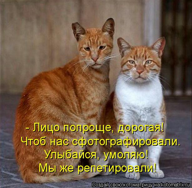 Котоматрица: - Лицо попроще, дорогая! Чтоб нас сфотографировали. Улыбайся, умоляю! Мы же репетировали!