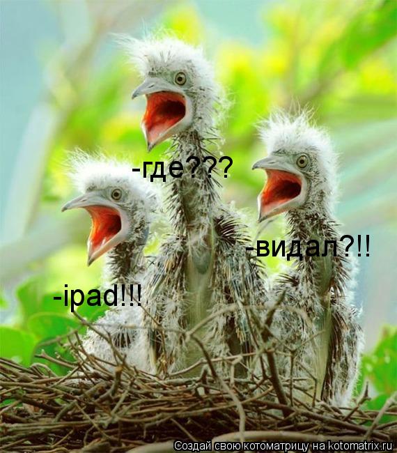 -ipad!!! -видал?!! -где???... Котоматрица: -ipad!!! -видал?!! -где???