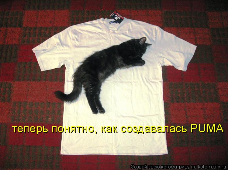 теперь понятно, как создавалась PUMA... Котоматрица: теперь понятно, как создавалась PUMA