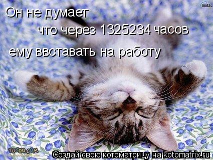 Он не думает что через 1325234 часов ему ввставать на работу... Котоматрица: Он не думает что через 1325234 часов ему ввставать на работу