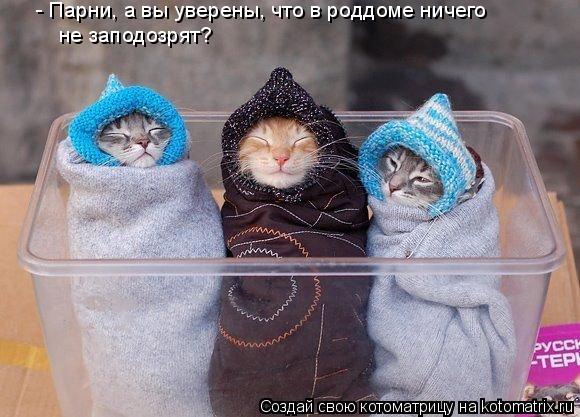 - Парни, а вы уверены, что в роддоме ничего не заподозрят?... Котоматрица: - Парни, а вы уверены, что в роддоме ничего не заподозрят?