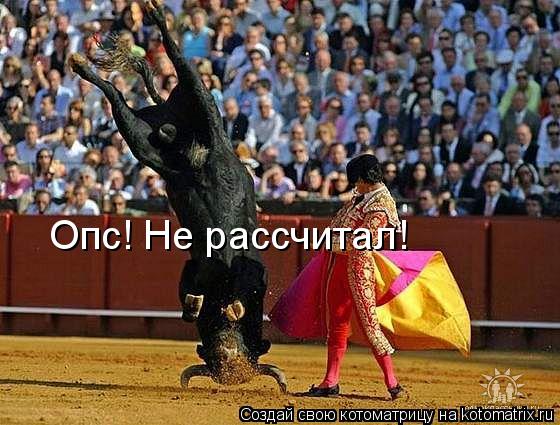 Опс! Не рассчитал!... Котоматрица: Опс! Не рассчитал!