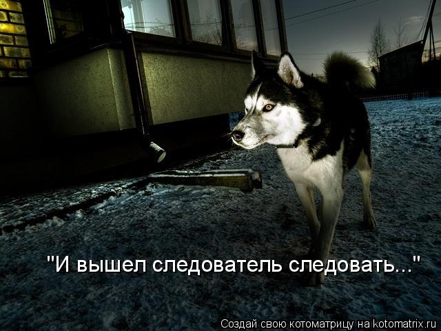 Котоматрица: "И вышел следователь следовать..."