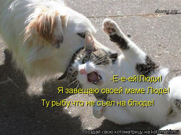 -Е-е-ей!Люди! Я завещаю своей маме Люде! Ту рыбу,что не съел на блюде!... Котоматрица: -Е-е-ей!Люди! Я завещаю своей маме Люде! Ту рыбу,что не съел на блюде!