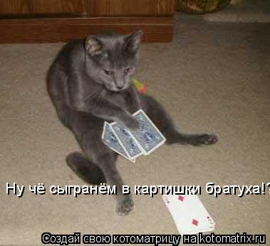 Ну чё сыгранём в картишки братуха!?... Котоматрица: Ну чё сыгранём в картишки братуха!?