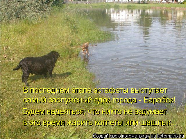 В последнем этапе эстафеты выступает самый заслуженый едок города - Барабек! Будем надеяться, что ник... Котоматрица: В последнем этапе эстафеты выступает самый заслуженый едок города - Барабек! Будем надеяться, что никто не вздумает в это время жарить котл