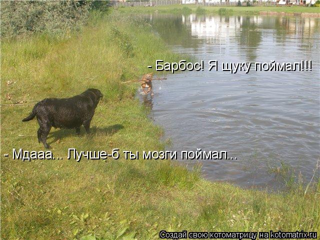 - Мдааа... Лучше-б ты мозги поймал... - Барбос! Я щуку поймал!!!... Котоматрица: - Мдааа... Лучше-б ты мозги поймал... - Барбос! Я щуку поймал!!!