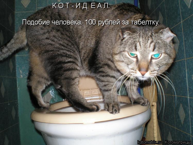 К О Т - И Д Е А Л. Подобие человека. 100 рублей за табелтку.... Котоматрица: К О Т - И Д Е А Л. Подобие человека. 100 рублей за табелтку.
