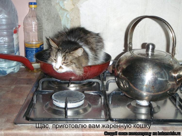 Щас, приготовлю вам жаренную кошку... Котоматрица: Щас, приготовлю вам жаренную кошку
