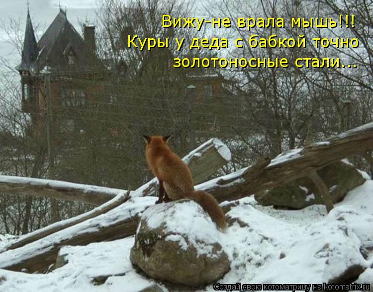 Вижу-не врала мышь!!! Куры у деда с бабкой точно золотоносные стали...... Котоматрица: Вижу-не врала мышь!!! Куры у деда с бабкой точно золотоносные стали...
