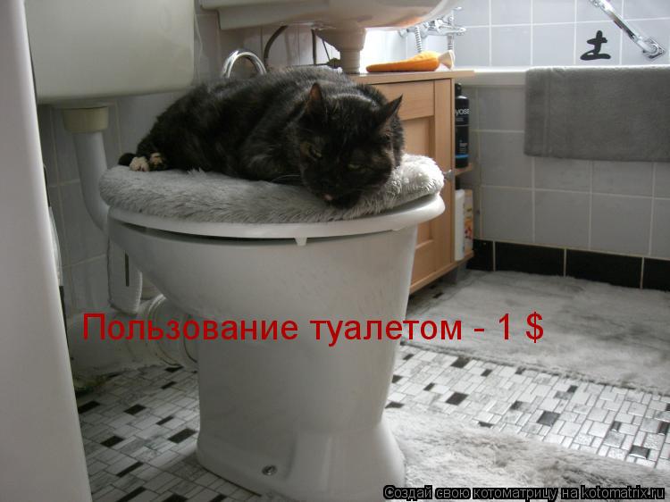 Пользование туалетом - 1 $... Котоматрица: Пользование туалетом - 1 $