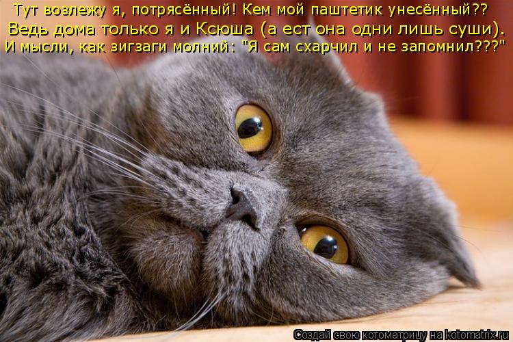 Котоматрица: Ведь дома только я и Ксюша (а ест она одни лишь суши). Тут возлежу я, потрясённый! Кем мой паштетик унесённый?? И мысли, как зигзаги молний: "Я с