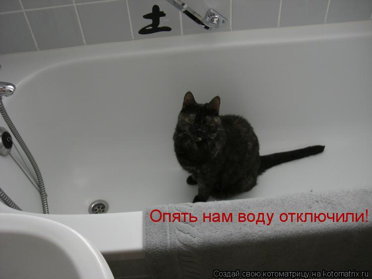 Опять нам воду отключили!... Котоматрица: Опять нам воду отключили!