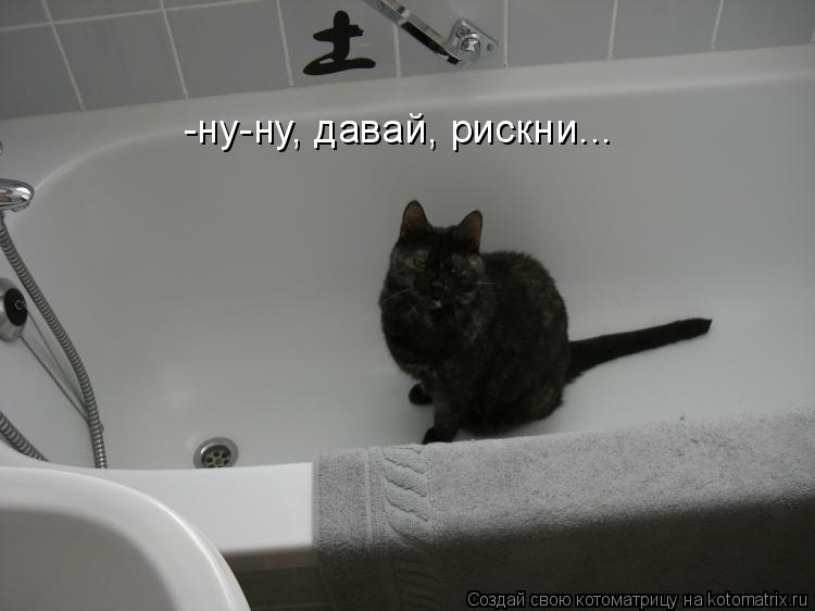 -ну-ну, давай, рискни...... Котоматрица: -ну-ну, давай, рискни...