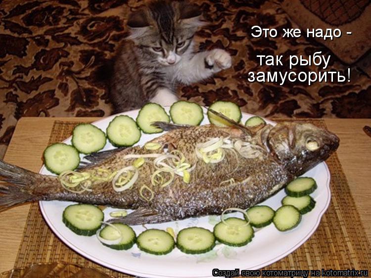 замусорить! Это же надо - так рыбу... Котоматрица: замусорить! Это же надо - так рыбу