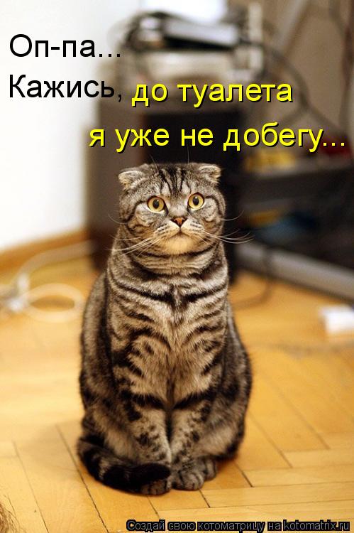 Оп-па... Кажись, до туалета я уже не добегу...... Котоматрица: Оп-па... Кажись, до туалета я уже не добегу...