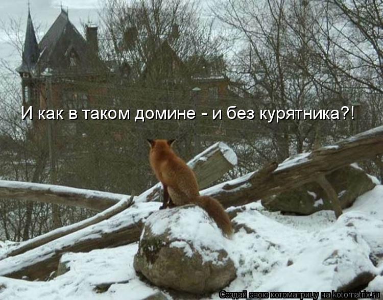 И как в таком домине - и без курятника?!... Котоматрица: И как в таком домине - и без курятника?!