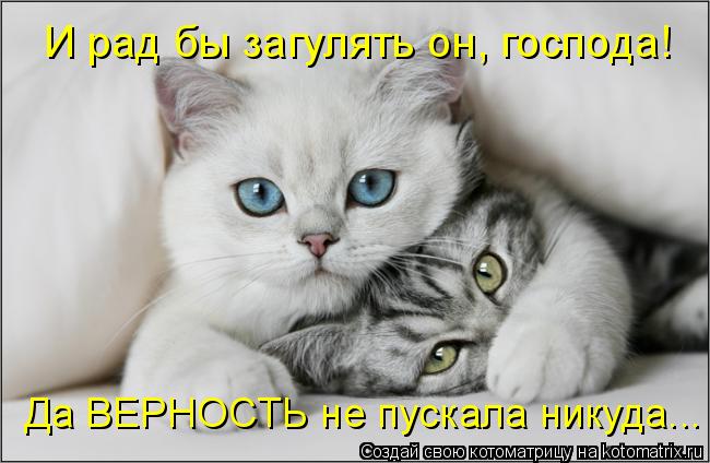 И рад бы загулять он, господа! Да ВЕРНОСТЬ не пускала никуда...... Котоматрица: И рад бы загулять он, господа! Да ВЕРНОСТЬ не пускала никуда...