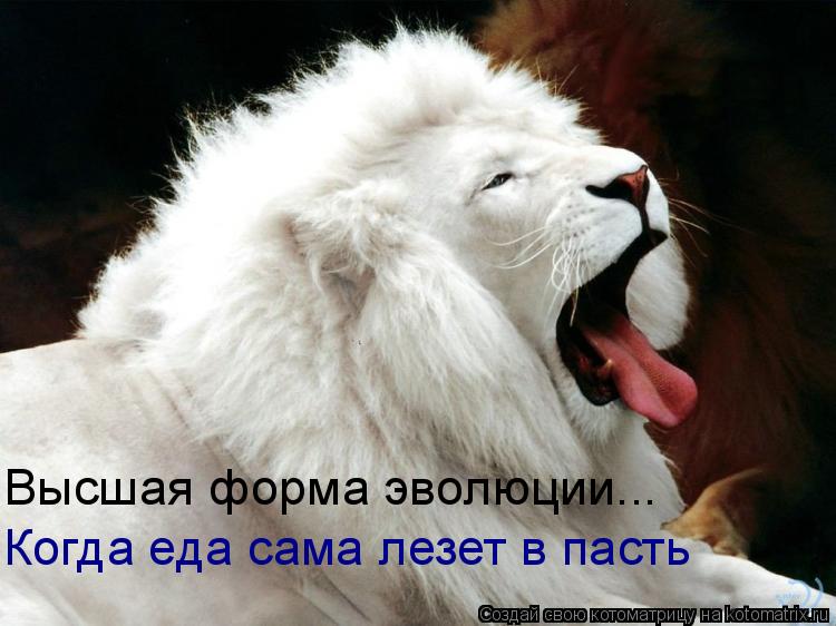 Высшая форма эволюции... Когда еда сама лезет в пасть... Котоматрица: Высшая форма эволюции... Когда еда сама лезет в пасть
