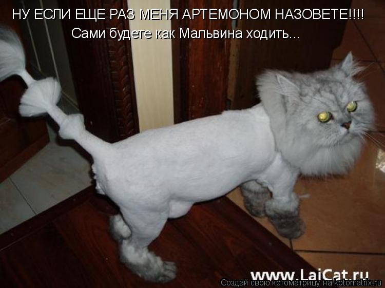 НУ ЕСЛИ ЕЩЕ РАЗ МЕНЯ АРТЕМОНОМ НАЗОВЕТЕ!!!! Сами будете как Мальвина ходить...... Котоматрица: НУ ЕСЛИ ЕЩЕ РАЗ МЕНЯ АРТЕМОНОМ НАЗОВЕТЕ!!!! Сами будете как Мальвина ходить...