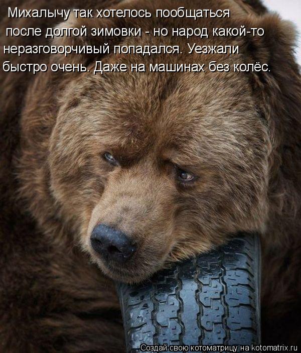 Михалычу так хотелось пообщаться после долгой зимовки - но народ какой-то неразговорчивый попадался. ... Котоматрица: Михалычу так хотелось пообщаться после долгой зимовки - но народ какой-то неразговорчивый попадался. Уезжали быстро очень. Даже на машинах