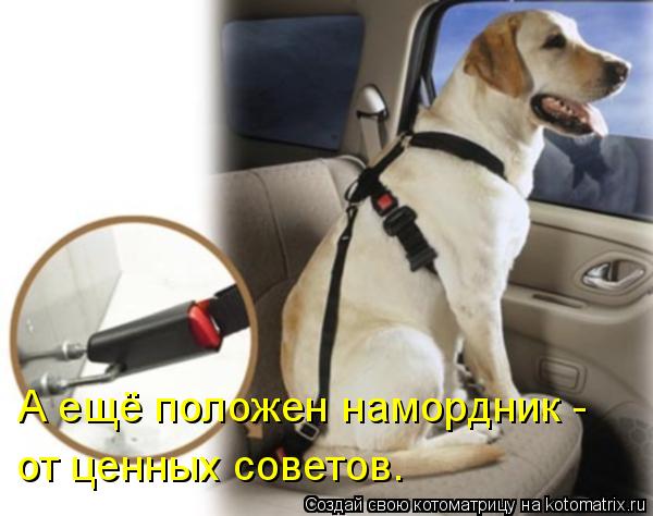 А ещё положен намордник - от ценных советов.... Котоматрица: А ещё положен намордник - от ценных советов.