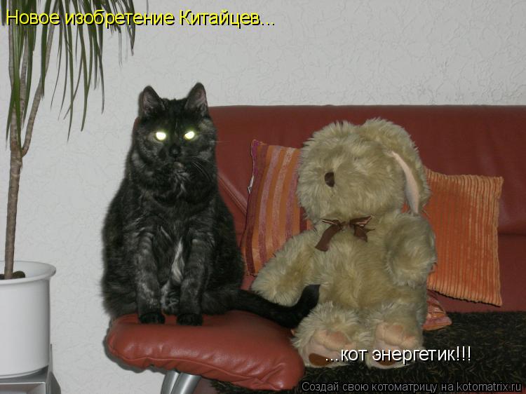 Новое изобретение Китайцев... ...кот энергетик!!!... Котоматрица: Новое изобретение Китайцев... ...кот энергетик!!!