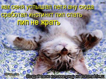 как сеня услышал петя ану сюда сработал инстинкт пип спать пип не жрать... Котоматрица: как сеня услышал петя ану сюда сработал инстинкт пип спать пип не жрать