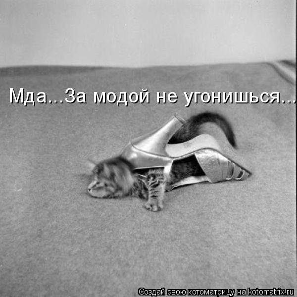 Мда...За модой не угонишься...... Котоматрица: Мда...За модой не угонишься...