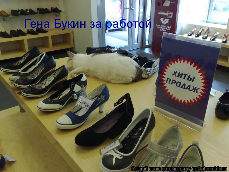 Гена Букин за работой... Котоматрица: Гена Букин за работой