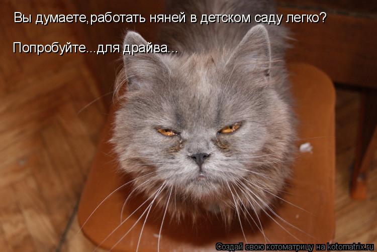 Вы думаете,работать няней в детском саду легко? Попробуйте...для драйва...... Котоматрица: Вы думаете,работать няней в детском саду легко? Попробуйте...для драйва...