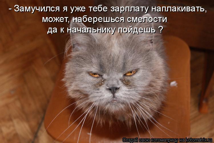 - Замучился я уже тебе зарплату наплакивать, может, наберешься смелости да к начальнику пойдешь ?... Котоматрица: - Замучился я уже тебе зарплату наплакивать, может, наберешься смелости да к начальнику пойдешь ?