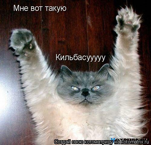 Мне вот такую Кильбасууууу... Котоматрица: Мне вот такую Кильбасууууу