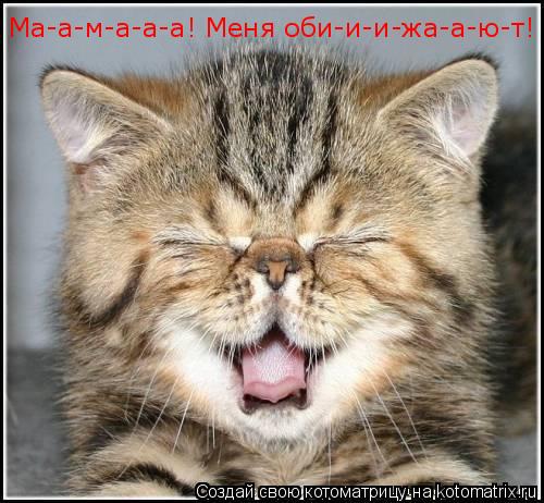 Ма-а-м-а-а-а! Меня оби-и-и-жа-а-ю-т!... Котоматрица: Ма-а-м-а-а-а! Меня оби-и-и-жа-а-ю-т!