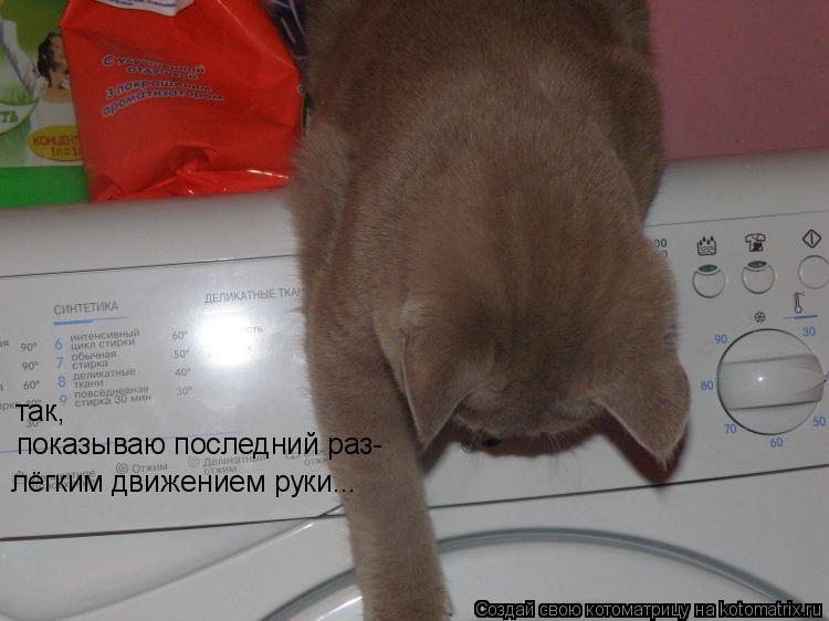 так, показываю последний раз- лёгким движением руки...... Котоматрица: так, показываю последний раз- лёгким движением руки...