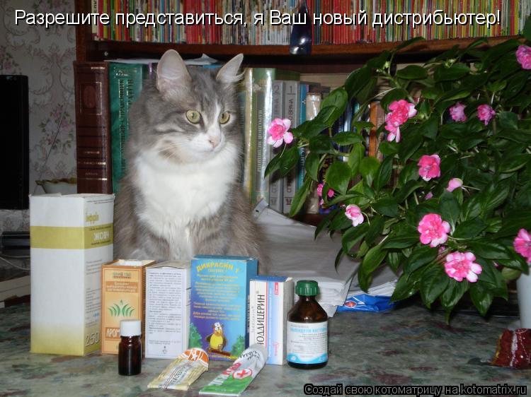 Разрешите представиться, я Ваш новый дистрибьютер!... Котоматрица: Разрешите представиться, я Ваш новый дистрибьютер!