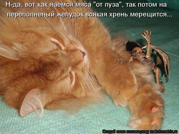 переполненый желудок всякая хрень мерещится... Н-да, вот как наемся мяса "от пуза", так потом на... Котоматрица: переполненый желудок всякая хрень мерещится... Н-да, вот как наемся мяса "от пуза", так потом на