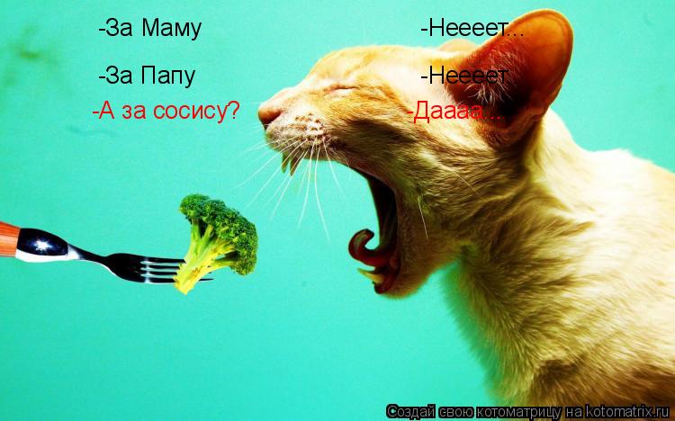 -За Маму -Неееет... -За Папу -Неееет... Котоматрица: -За Маму -Неееет... -За Папу -Неееет.. -А за сосису? -Даааа..