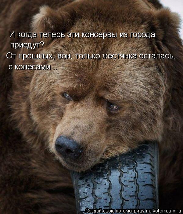 И когда теперь эти консервы из города приедут? От прошлых, вон, только жестянка осталась, с колесами.... Котоматрица: И когда теперь эти консервы из города приедут? От прошлых, вон, только жестянка осталась, с колесами...