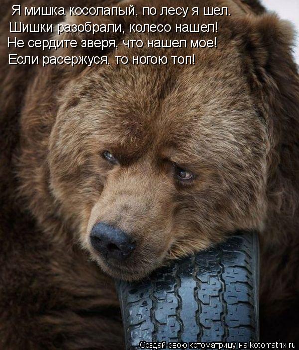 Я мишка косолапый, по лесу я шел. Шишки разобрали, колесо нашел! Не сердите зверя, что нашел мое! Есл... Котоматрица: Я мишка косолапый, по лесу я шел. Шишки разобрали, колесо нашел! Не сердите зверя, что нашел мое! Если расержуся, то ногою топ!