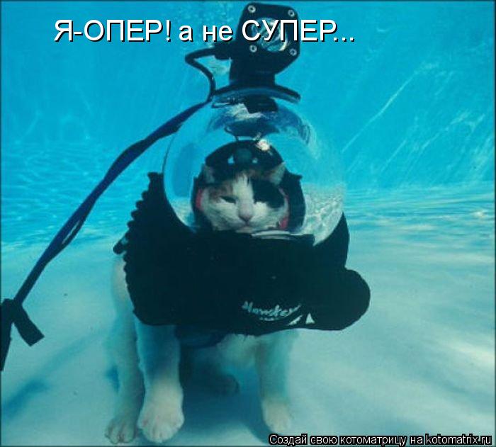 Я-ОПЕР! а не СУПЕР...... Котоматрица: Я-ОПЕР! а не СУПЕР...