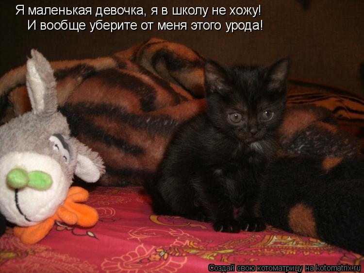 Я маленькая девочка, я в школу не хожу! И вообще уберите от меня этого урода!... Котоматрица: Я маленькая девочка, я в школу не хожу! И вообще уберите от меня этого урода!