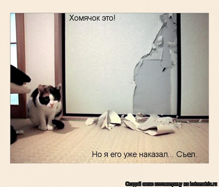 Хомячок это! Но я его уже наказал... Съел.... Котоматрица: Хомячок это! Но я его уже наказал... Съел.