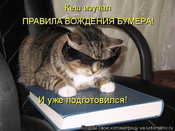 Котоматрица: Кеш изучал ПРАВИЛА ВОЖДЕНИЯ БУМЕРА! И уже подготовился!