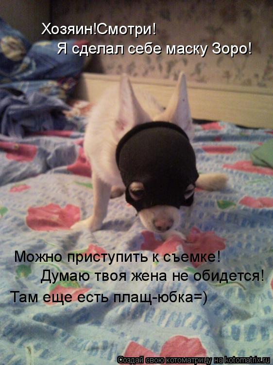 Хозяин!Смотри! Я сделал себе маску Зоро! Можно приступить к съемке! Думаю твоя жена не обидется! Там ... Котоматрица: Хозяин!Смотри! Я сделал себе маску Зоро! Можно приступить к съемке! Думаю твоя жена не обидется! Там еще есть плащ-юбка=)
