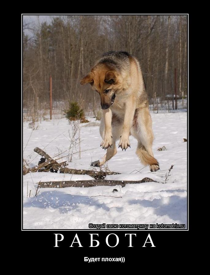 Работа Будет плохая))... Котоматрица: Работа Будет плохая))