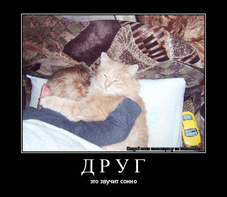 ДРУГ это звучит сонно... Котоматрица: ДРУГ это звучит сонно
